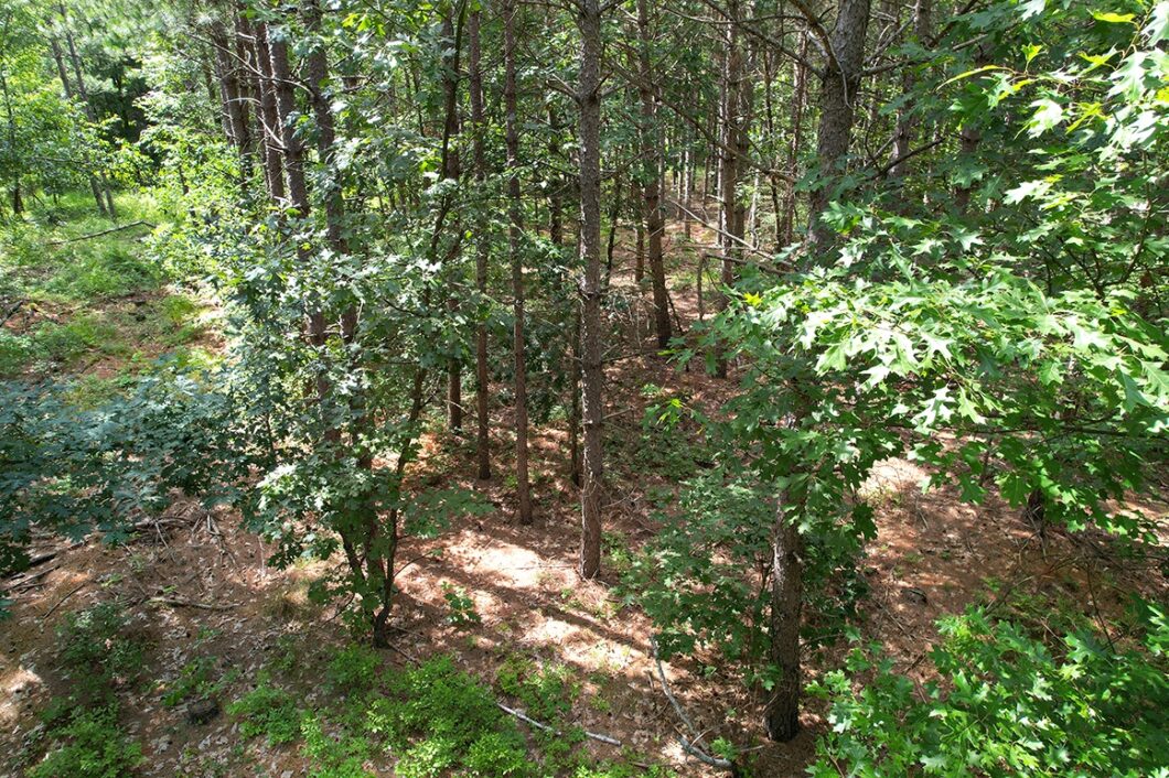 Juneau County, WI 6 Acres of Land for Sale near Castle Rock Lake