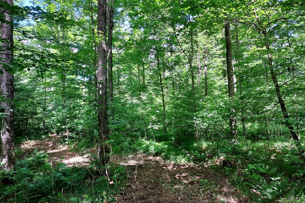 10 Acres near Merrill, WI with Unlimited Outdoors Fun!