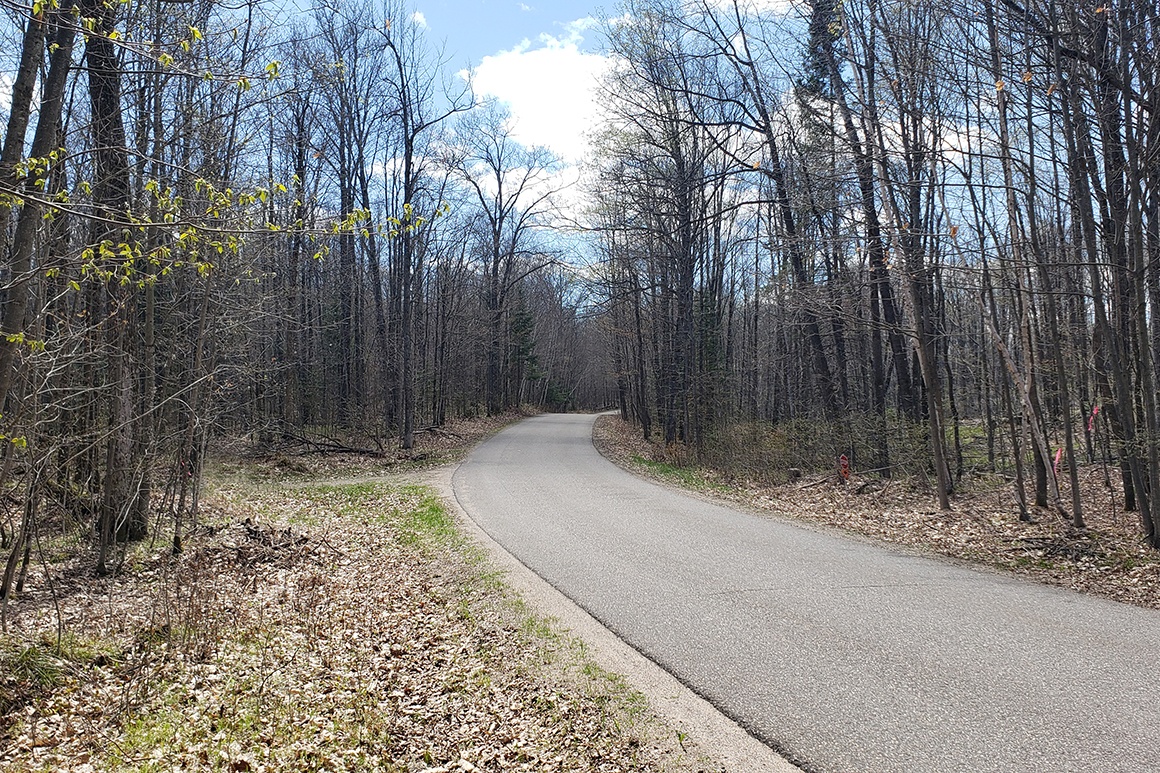 LangladeForest County Line Real Estate 7 Acres only 36,900