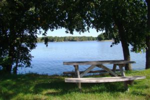 Central WI Cabin, Camping and Hunting Land for only $41,900!