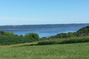 Mississippi River View Acreage above the Fishing Village Genoa, WI!