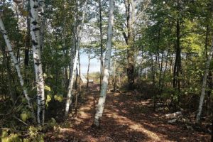 Wooded Lakefront Property, Camp or Build, Adams County, WI!