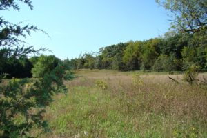 Wooded Lakefront Property, Camp or Build, Adams County, WI!