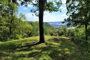 Southwest WI Mississippi River View Property for Sale!
