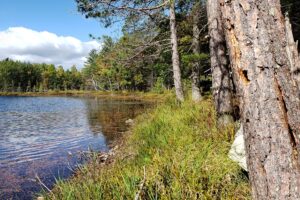 Minocqua Lakefront Property only $159,900!