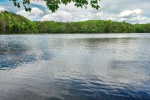 Northern WI Lakefront Property near Rhinelander!