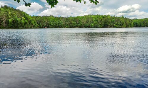 Northern WI Lakefront Property near Rhinelander!