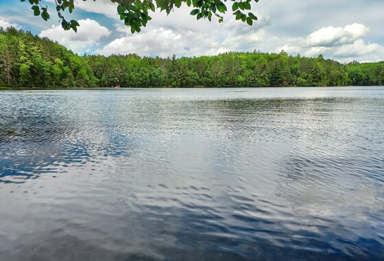 Northern WI Lakefront Property near Rhinelander!