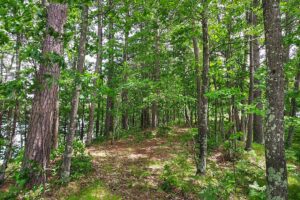 Northern WI Lakefront Property near Rhinelander!