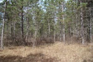 Tomahawk Real Estate for Sale - 4 Acres only $29,900!