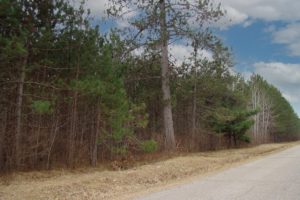 Tomahawk Real Estate for Sale - 4 Acres only $29,900!