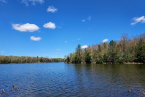 Wooded Camp or Cabin Site by the Nicolet National Forest in Northern WI!