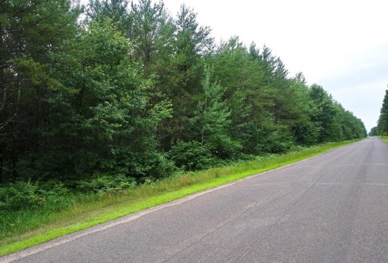 10 Acres with Huge Trees and Meadow near Webster, WI!