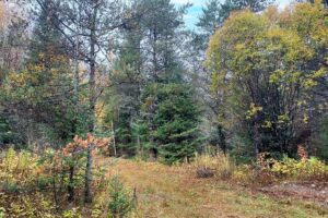 Langlade-Forest County Line Real Estate only $34,900!