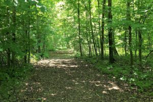 St. Croix & Polk County Line 10 Acre Property for Sale!