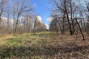 St. Croix & Polk County Line 10 Acre Property for Sale!