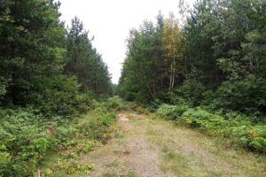 Bring Your Camper! 4 Acres Near Tomahawk with Driveway & Clearing!