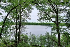 73 Acres with 3,800’ of Waterfront - Lake and Apple River Frontage!