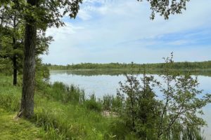 10 Acres & 1,400’ of Lakefront near the Twin Cities!