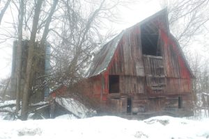 7 Acre Abandoned Farm with 1,200' of Lakefront!