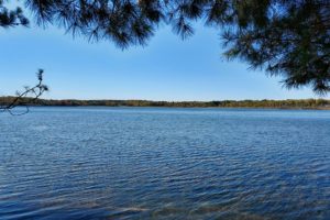 4.5 Acre Lakefront Perfect for Camping & Building!