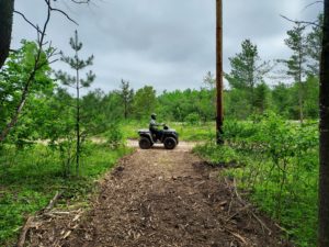 Eagle River, WI Area Wooded Land Adjoins County Forest only $51,900!