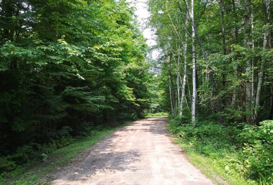 3.5 Acres for Investing, Camping & Building near Lake Lucerne!