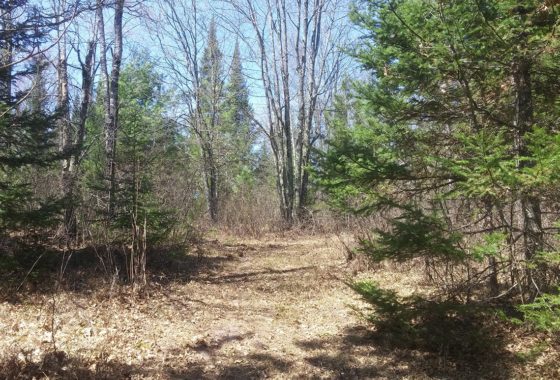 2.5 Acres for Investing, Camping and Building Next to State Land!