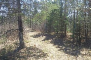 2.5 Acres for Investing, Camping and Building Next to State Land!