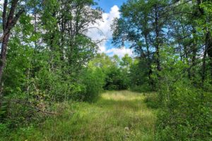 Marinette County Real Estate - 8 Acres only $45,900!