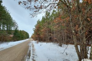 Central WI Wooded Land for Sale - 10 Acres!