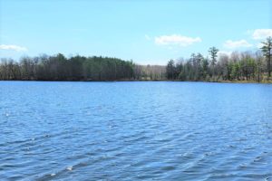 Minocqua WI Lakefront Property for Sale!