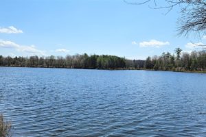 Minocqua WI Lakefront Property for Sale!