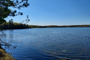 5 Acres on a 156 Acre Lake in Northeastern WI!