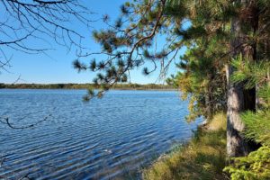 5 Acres on a 156 Acre Lake in Northeastern WI!