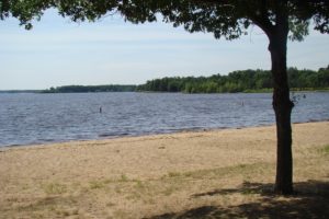Wooded WI Camping/Building Acreage & Castle Rock Lake!