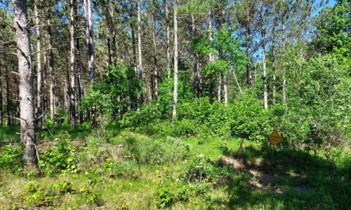 Juneau County 9.5 Acre Property for Sale!