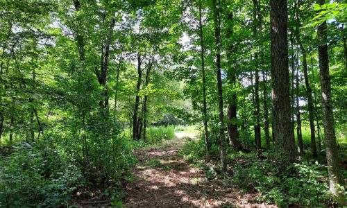 Northwoods of Wisconsin Recreational Land for Sale!