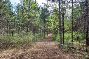 Central WI 10 Acre Wooded Land for Sale with Gravel Driveway & Clearing!