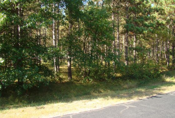 Wooded WI Camping/Building Acreage & Lake Petenwell!