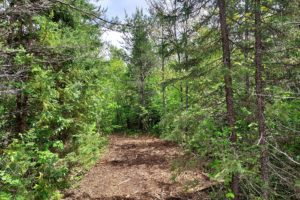 4.2 Acres Near Conover, WI with Unlimited Outdoors Fun!