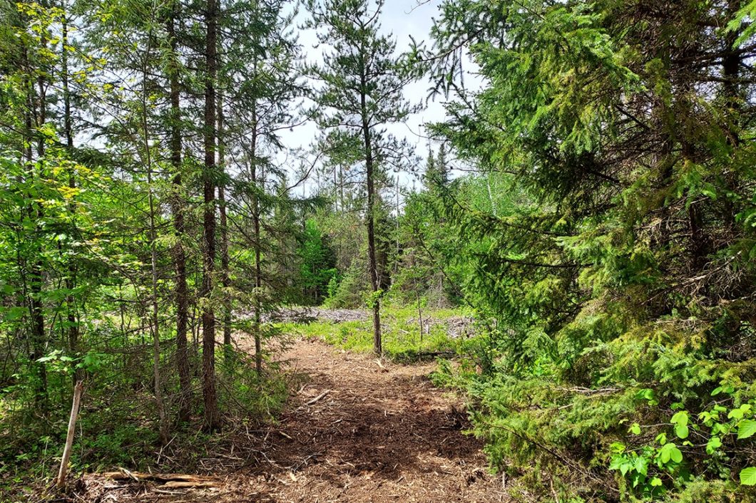 8 Acres Adjoins County Land on Two Sides near Eagle River!