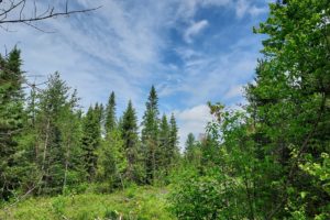 8 Acres Adjoins County Land on Two Sides near Eagle River!