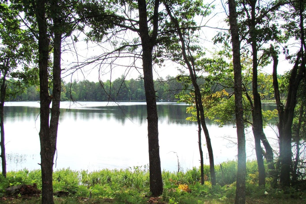 Oneida County Lakefront Property only $136,900!