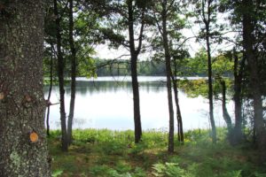 Oneida County Lakefront Property only $136,900!