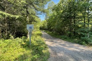National Forest Property with Driveway and Clearing: Bring Your Camper!