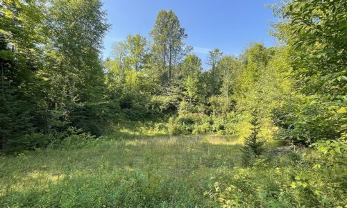 6 Acres near Butternut Lake & the National Forest $19,900!