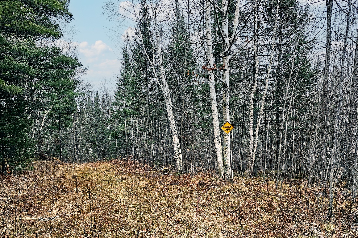 Northern WI Property Lake Real Estate, Wooded Land Wisconsin Lakes