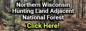 Wisconsin Hunting Land for Sale