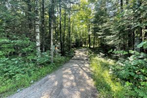 Northern Wisconsin Hunting & Recreational Properties from $19,900! 